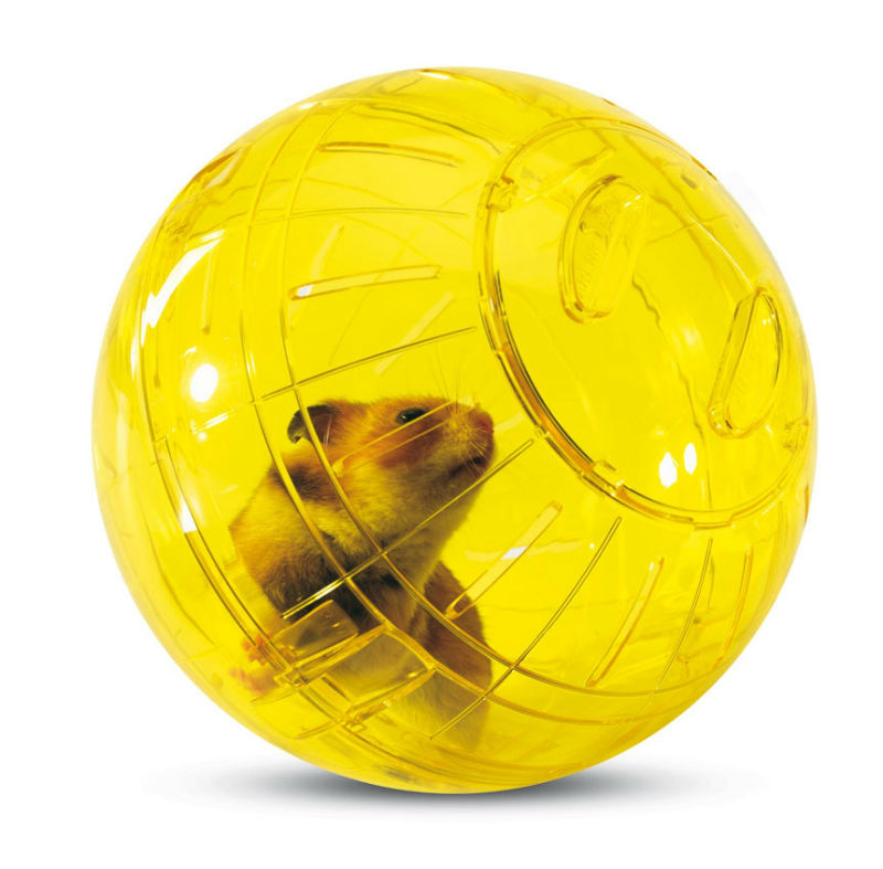 картинка Игрушка для грызунов Савик (Savic) шар прогулочный, 12 см. от магазина Зоокалуга