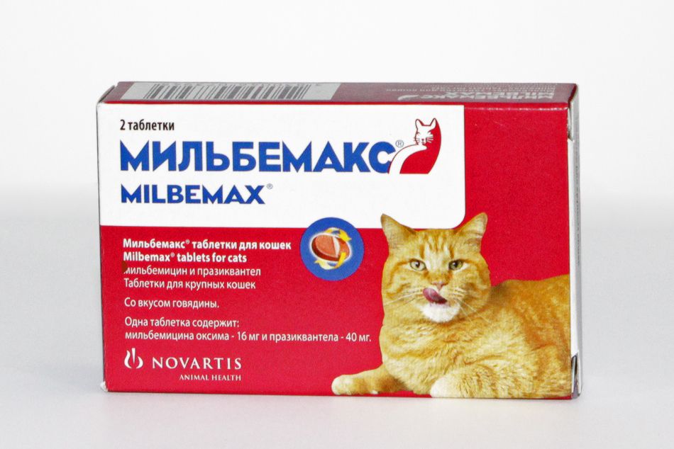 картинка Мильбемакс д/кошек 2таб в упак от магазина Зоокалуга