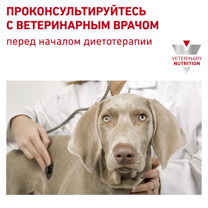 картинка Роял Канин (Royal Canin Hepatic) сухой корм для собак при болезнях печени, 1,5 кг. от магазина Зоокалуга
