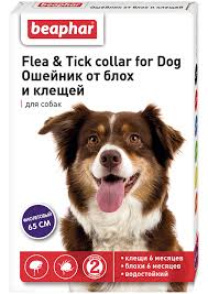 картинка Беафар ошейник для собак от блох фиолетовый от магазина Зоокалуга