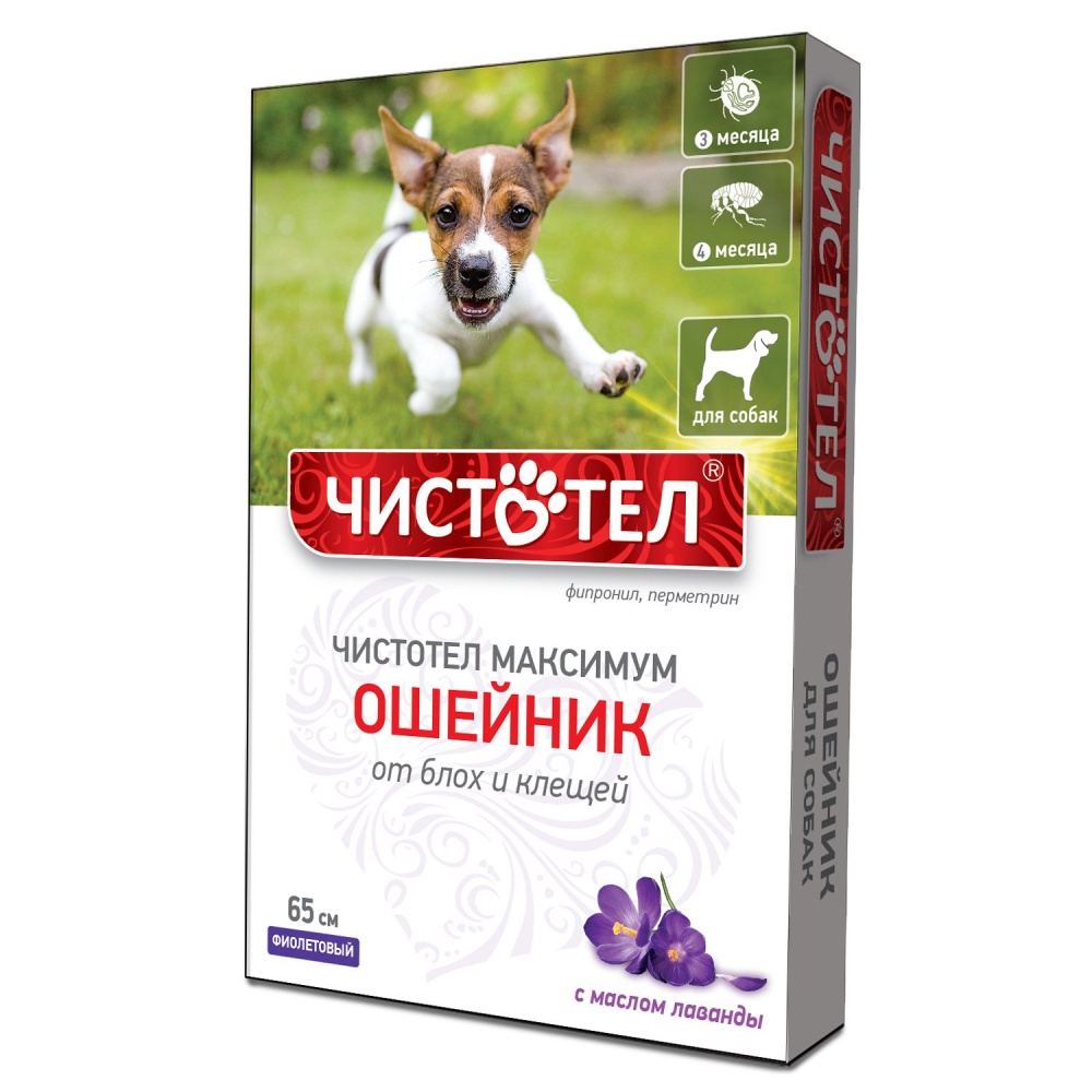 картинка Чистотел ошейник Максимум антипаразитарный для собак, фиолетовый от магазина Зоокалуга
