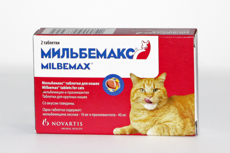 картинка Мильбемакс таблетки против гельминтов для кошек, 2 таб. от магазина Зоокалуга