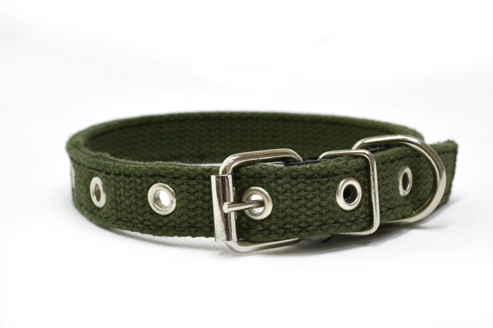 картинка Ошейник соб брезентовый 20/2 от магазина Зоокалуга