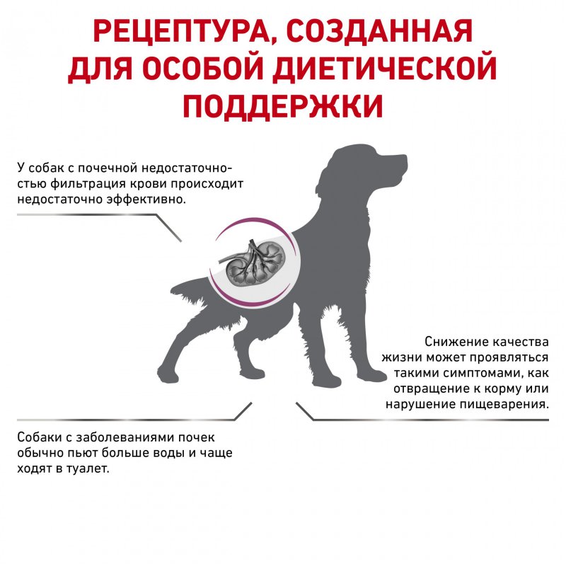 картинка Роял Канин (Royal Canin Renal) сухой корм для собак при почечной недостаточности, 2 кг. от магазина Зоокалуга
