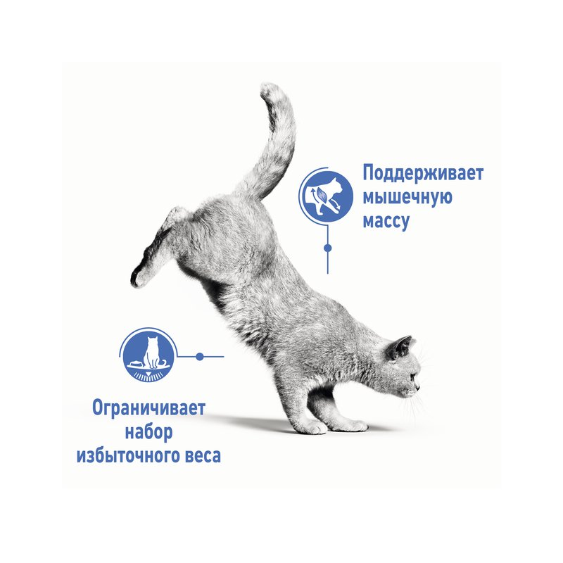 картинка Корм консервированный облегченный Роял Канин (Royal Canin Ultralite) для кошек при ожирении, соус, 85 гр. от магазина Зоокалуга