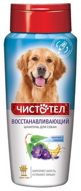 картинка Чистотел шамп д/соб Восстанавливающий 270 мл 1*25 от магазина Зоокалуга