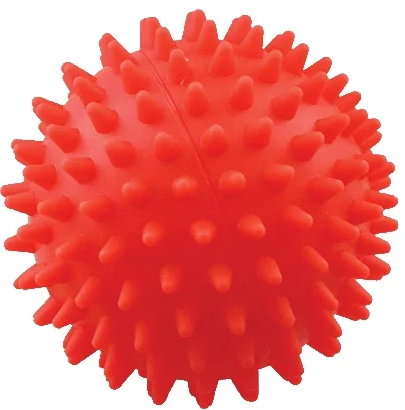 картинка Игрушка Зооник для собак - мяч для массажа №4 от магазина Зоокалуга
