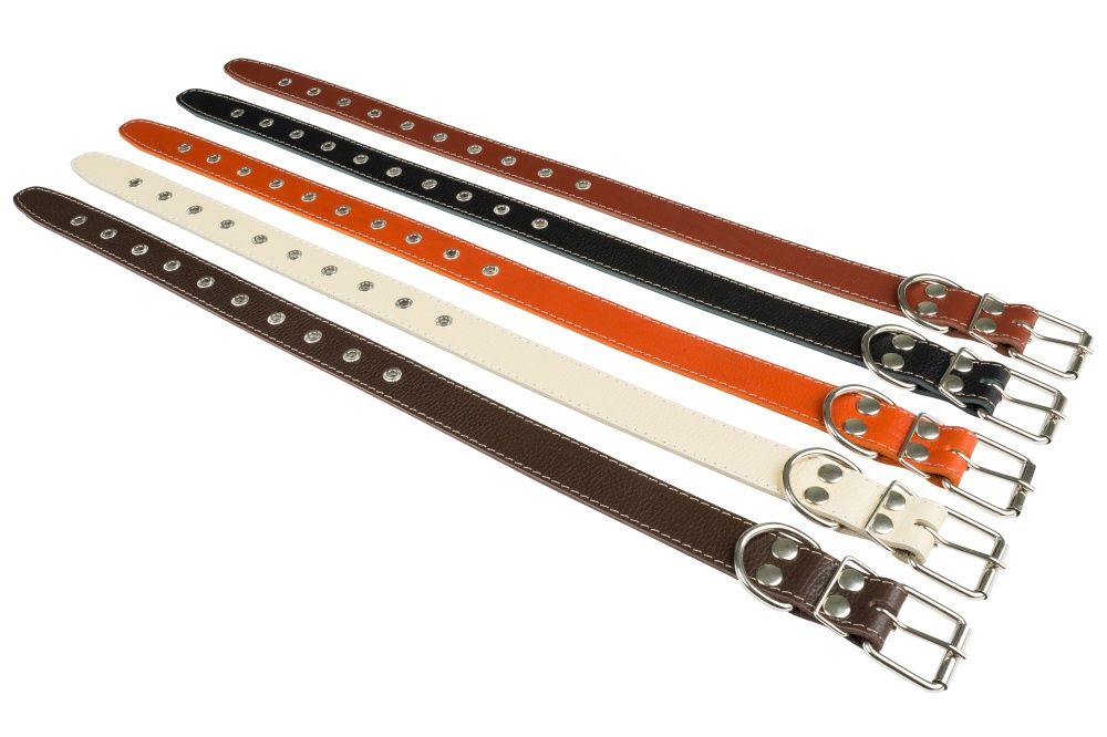 картинка Ошейник соб  №36 кожа (ЧБ) от магазина Зоокалуга