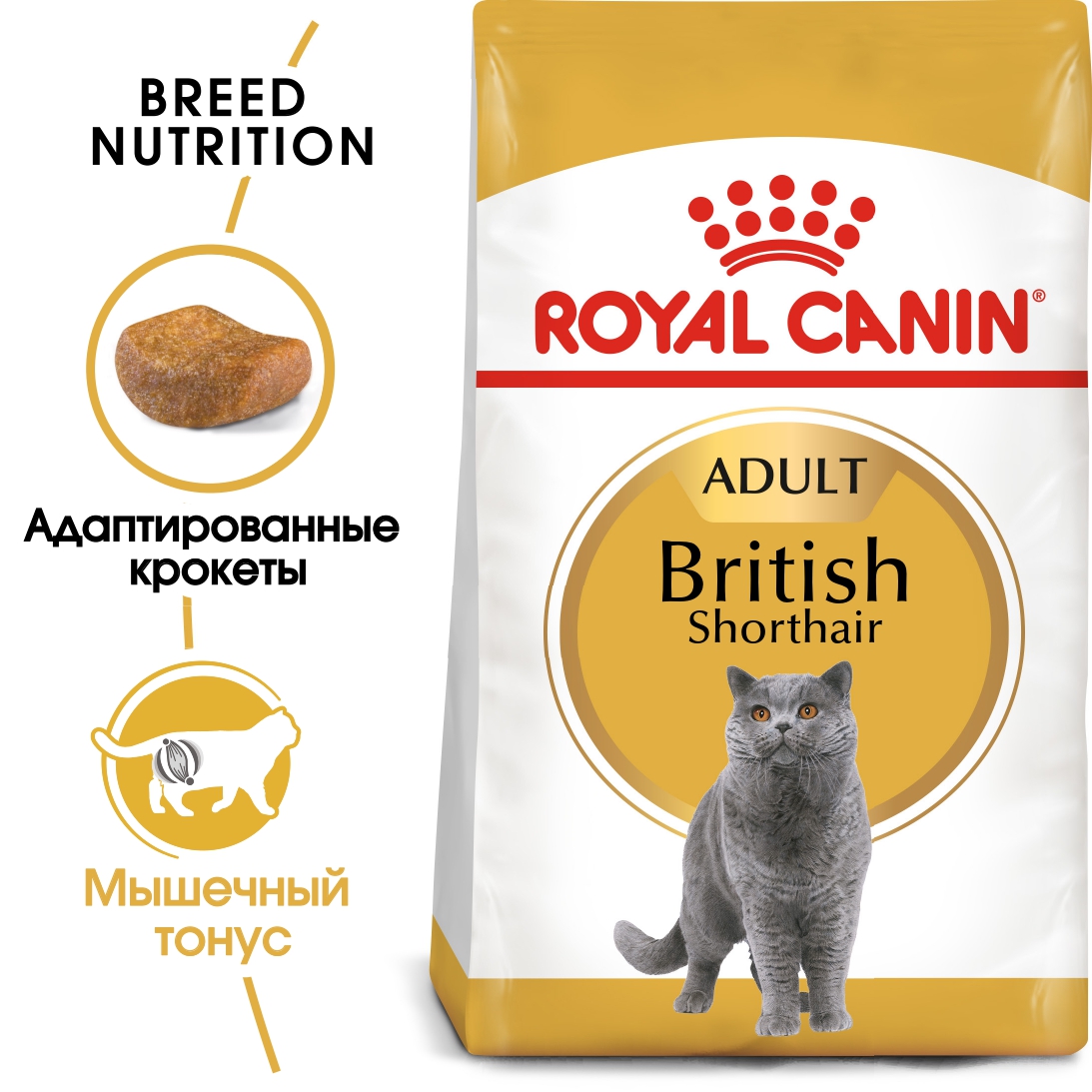 картинка Роял Канин (Royal Canin British Shorthair Adult) сухой корм взрослых кошек породы британской короткошерстной, 2 кг. от магазина Зоокалуга